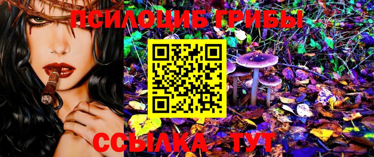 Галлюциногенные грибы GOLDEN TEACHER  Вход с VPN  Губкинский 